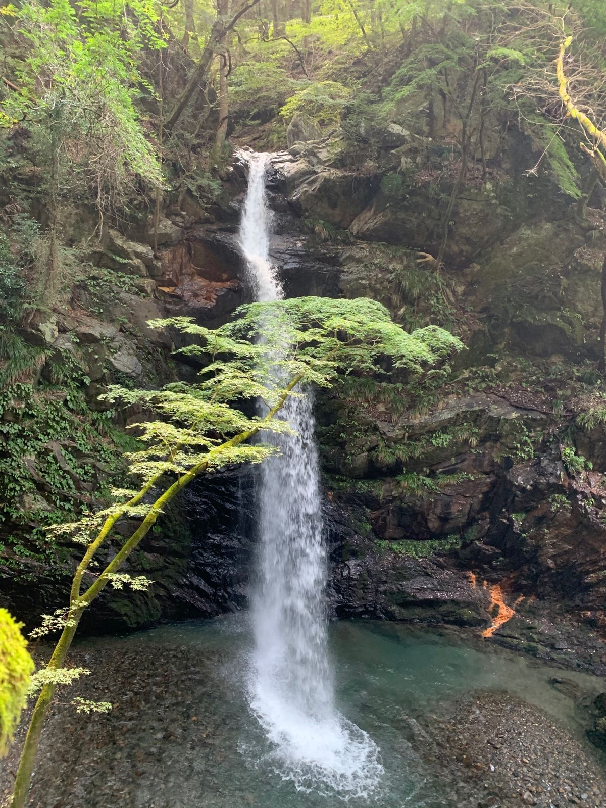 草木ダムと、近くの不動の滝。なかなか良き❤