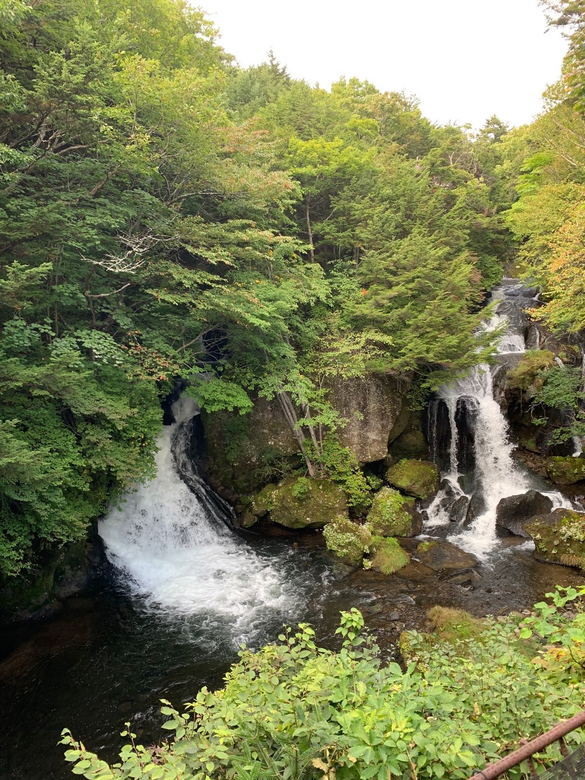 竜頭の滝、湯葉ソフト