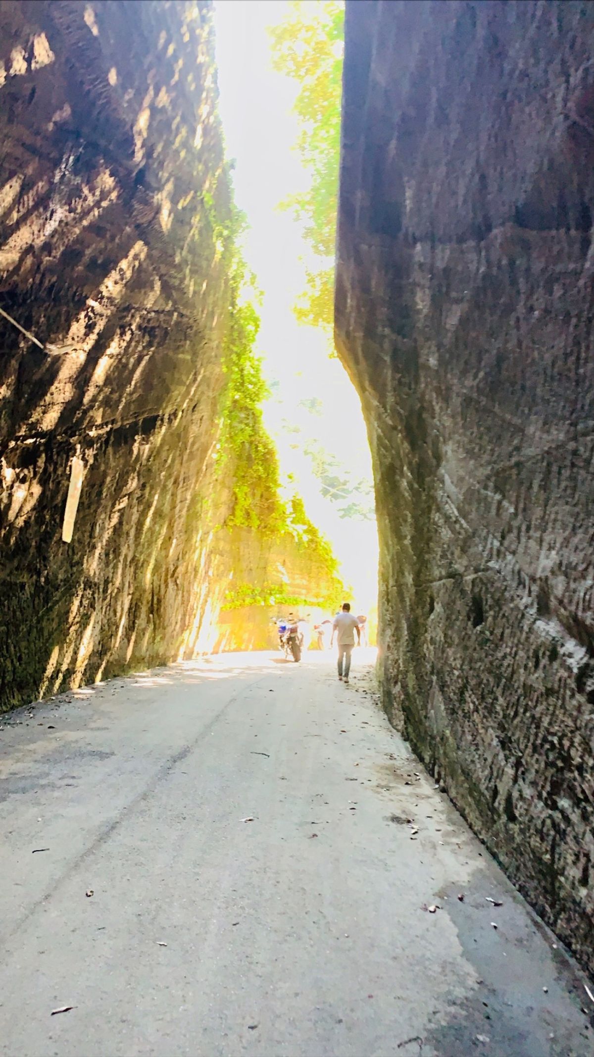 燈籠坂大師の切通しトンネル。
圧倒されます！！