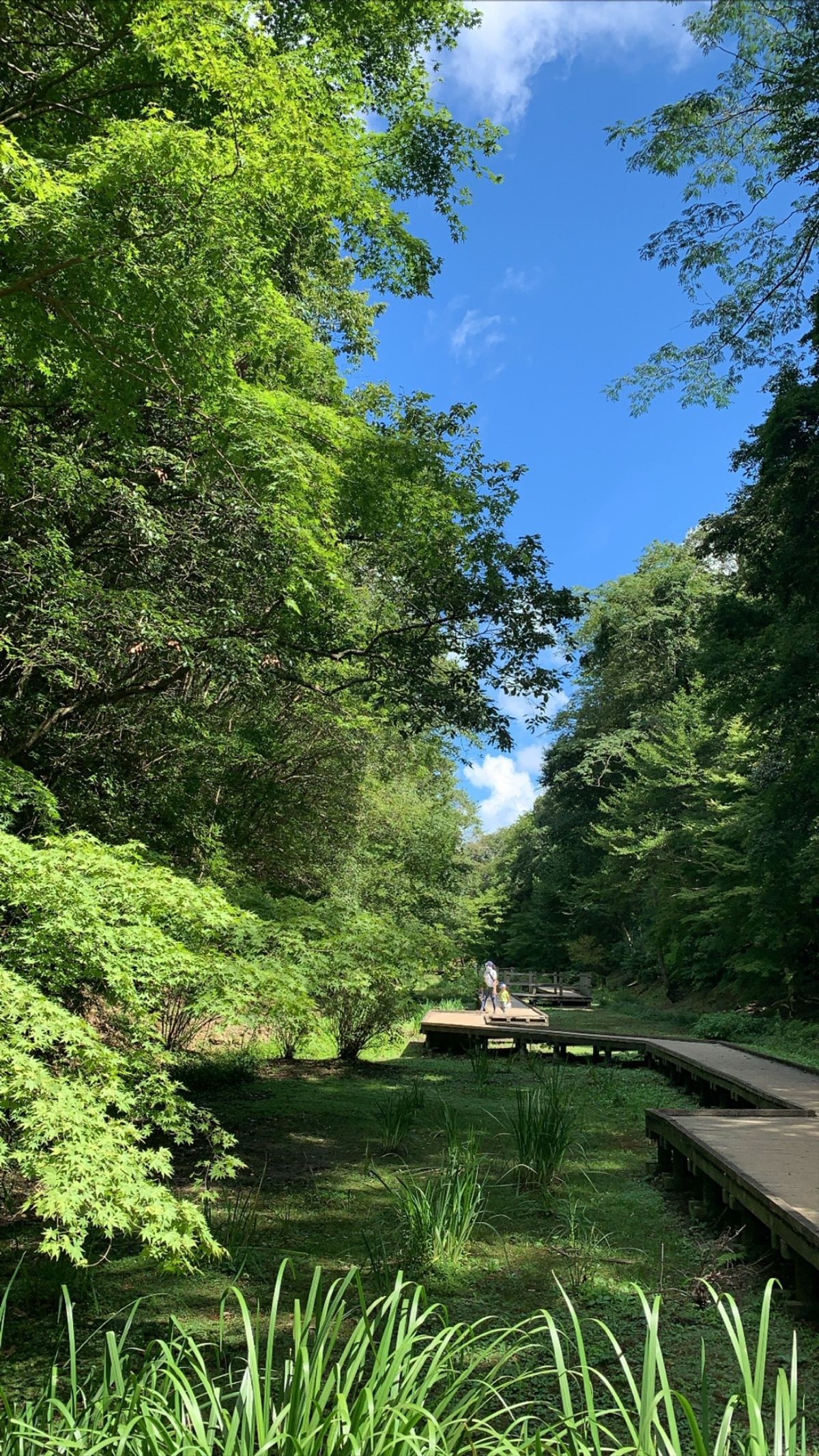 濃溝の滝、早朝では無いので話題の写真は撮れませんでしたが反射して綺麗だったよ🎶