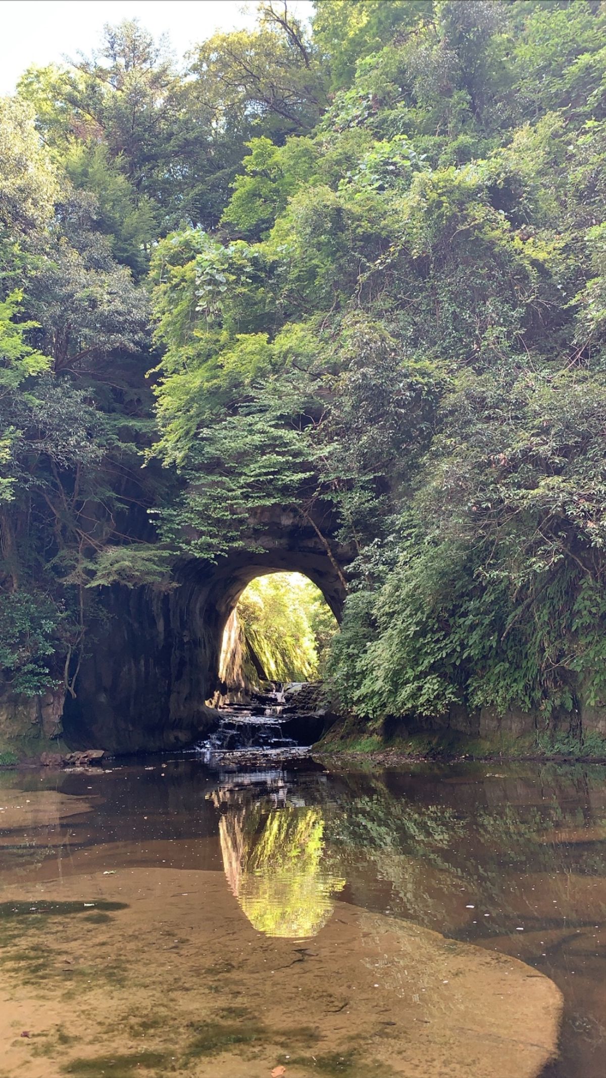 濃溝の滝、早朝では無いので話題の写真は撮れませんでしたが反射して綺麗だったよ🎶