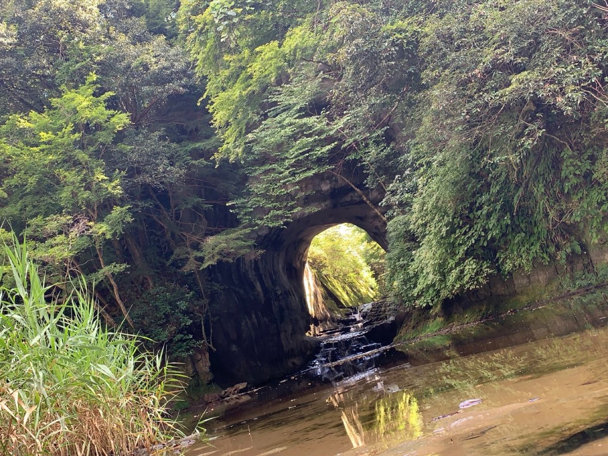 濃溝の滝、早朝では無いので話題の写真は撮れませんでしたが反射して綺麗だったよ🎶