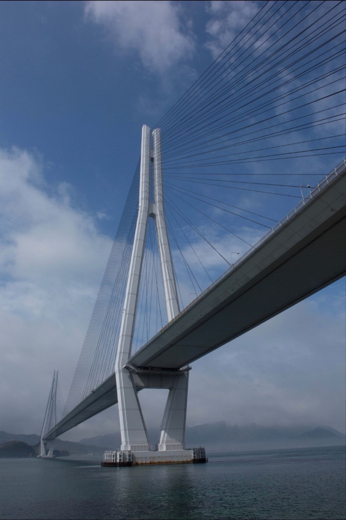 向島島
●向島ドック
●向島ドック
●多々良大橋
●多々良大橋

多々良大...