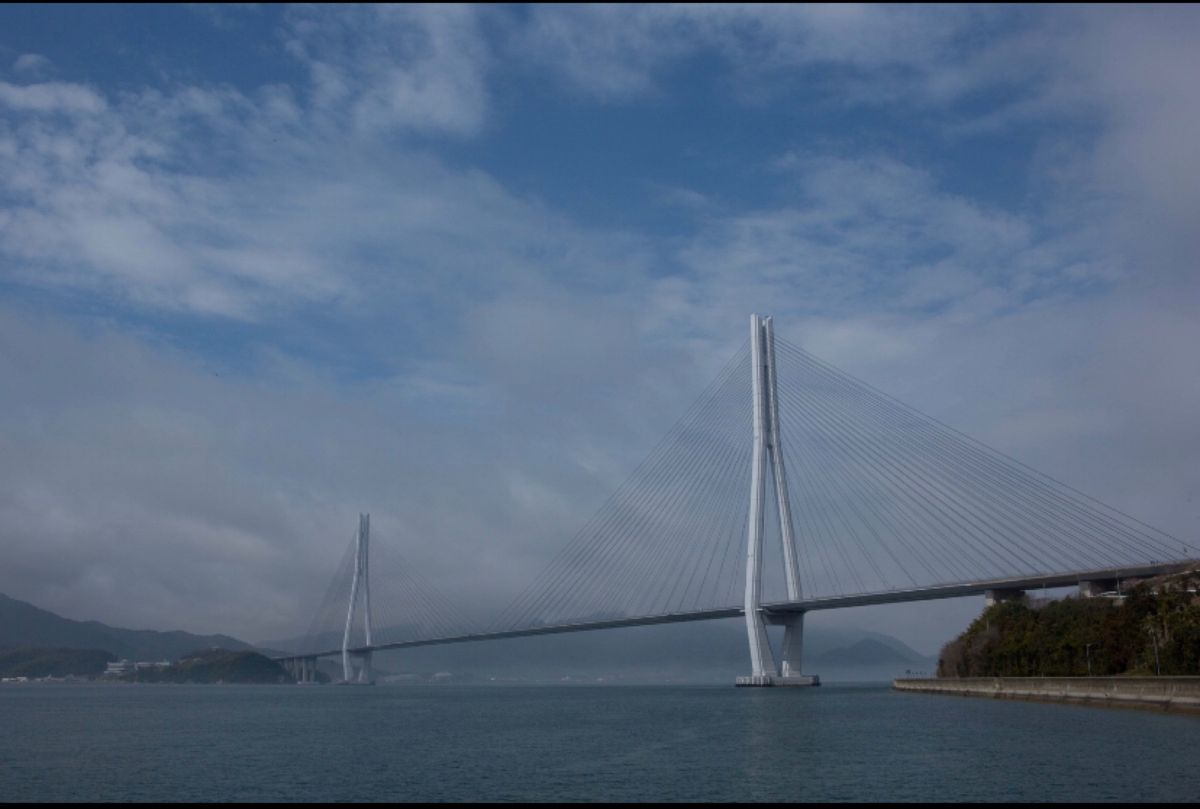 向島島
●向島ドック
●向島ドック
●多々良大橋
●多々良大橋

多々良大...