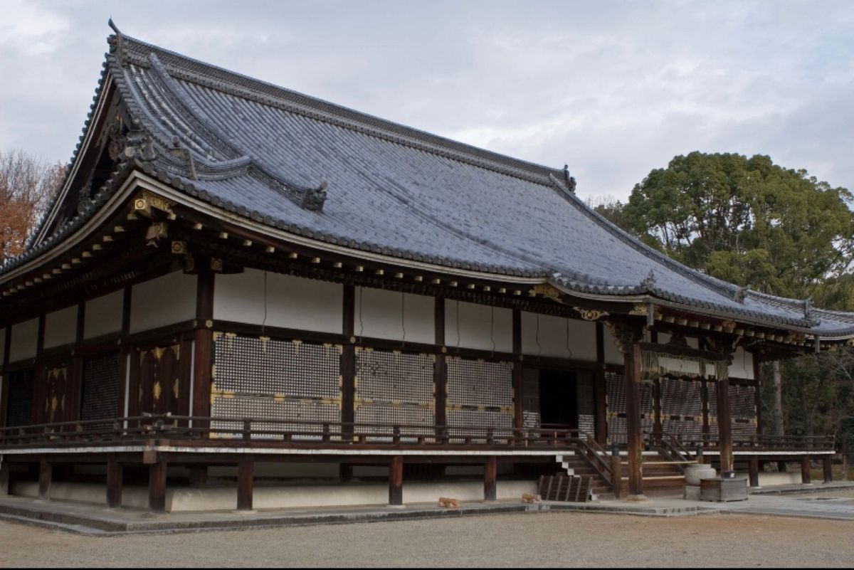 京都市
仁和寺（世界遺産）
●仁王門と勅使門
●桜の襖絵
●金堂
●五重塔...