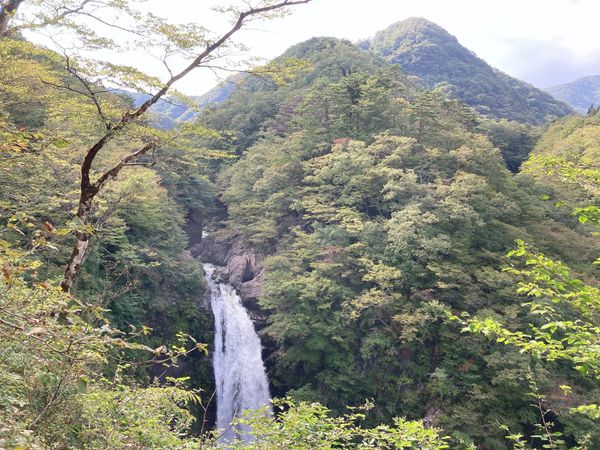 日本・宮城県「宮城　秋保　母娘温泉旅行」の写真：時間もなかったので、ほんの入り口しか行け...