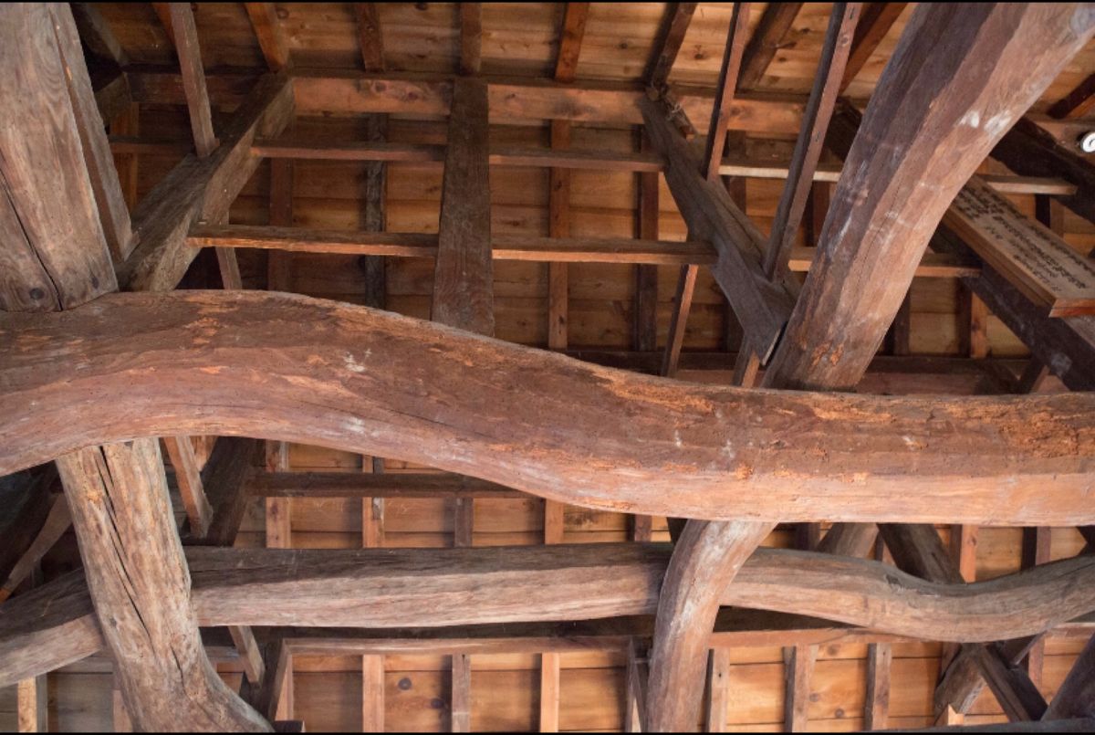 滋賀県彦根市
●彦根市
●彦根城
●彦根城の屋根裏
●彦根城の廊下

彦根...