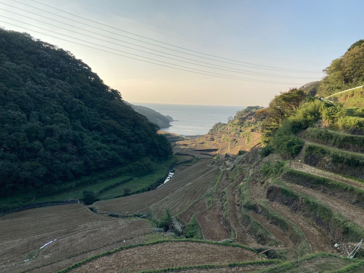 浜野浦の棚田