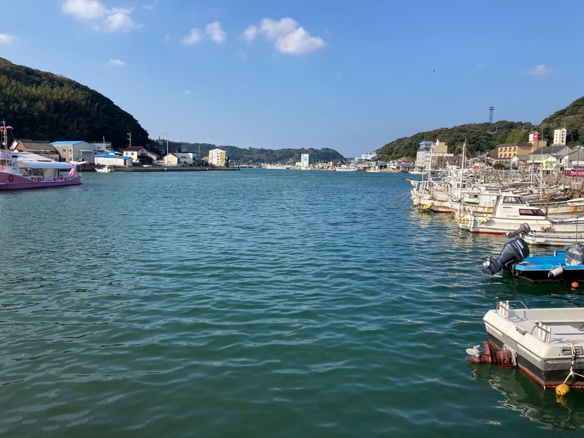 呼子
天候？の関係で七ツ釜遊覧船に乗れず😢、
代わりに魚見てきた！笑
河太...