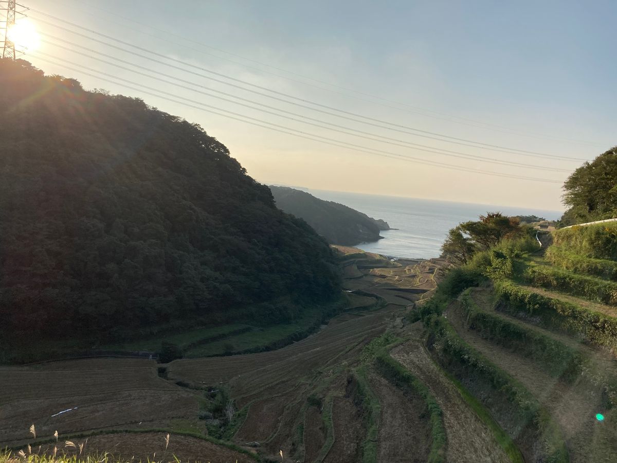 浜野浦の棚田
