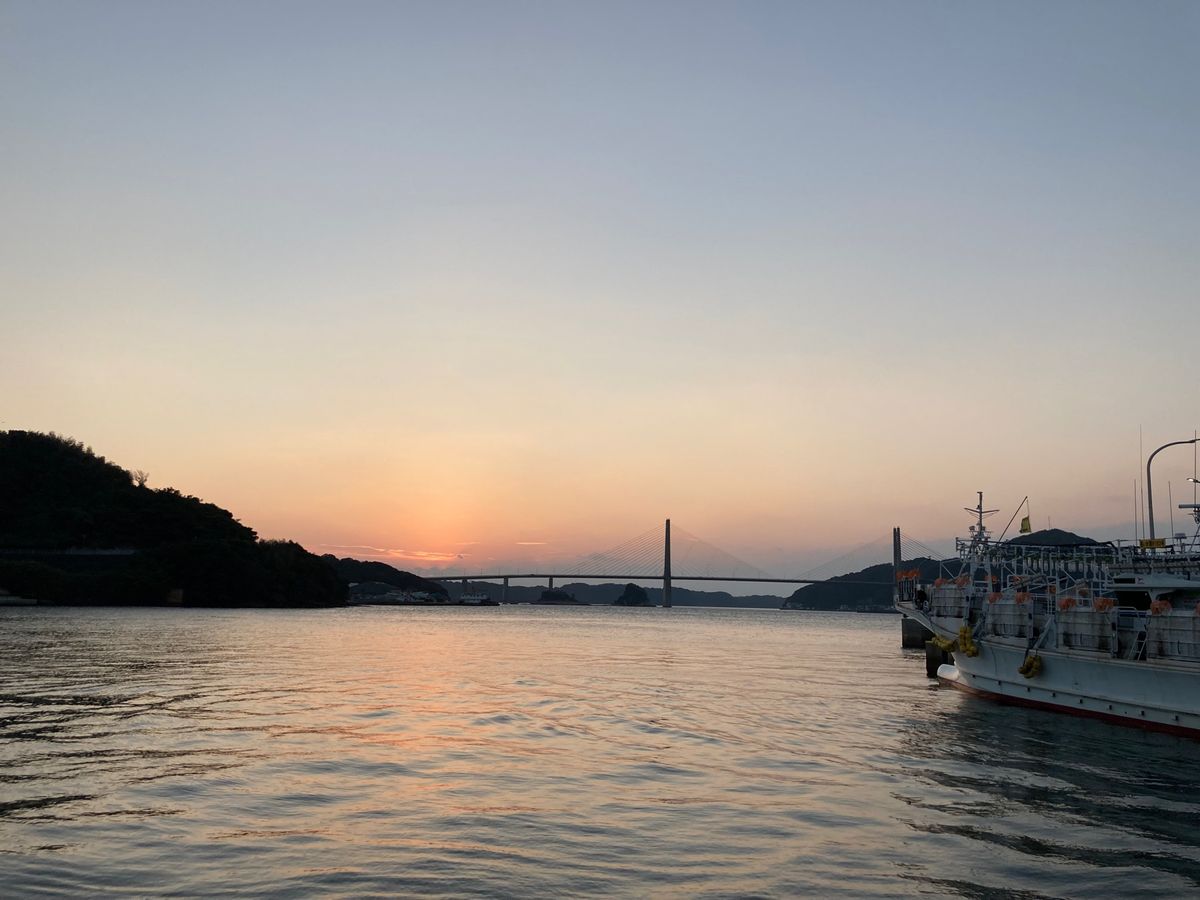 呼子
天候？の関係で七ツ釜遊覧船に乗れず😢、
代わりに魚見てきた！笑
河太...