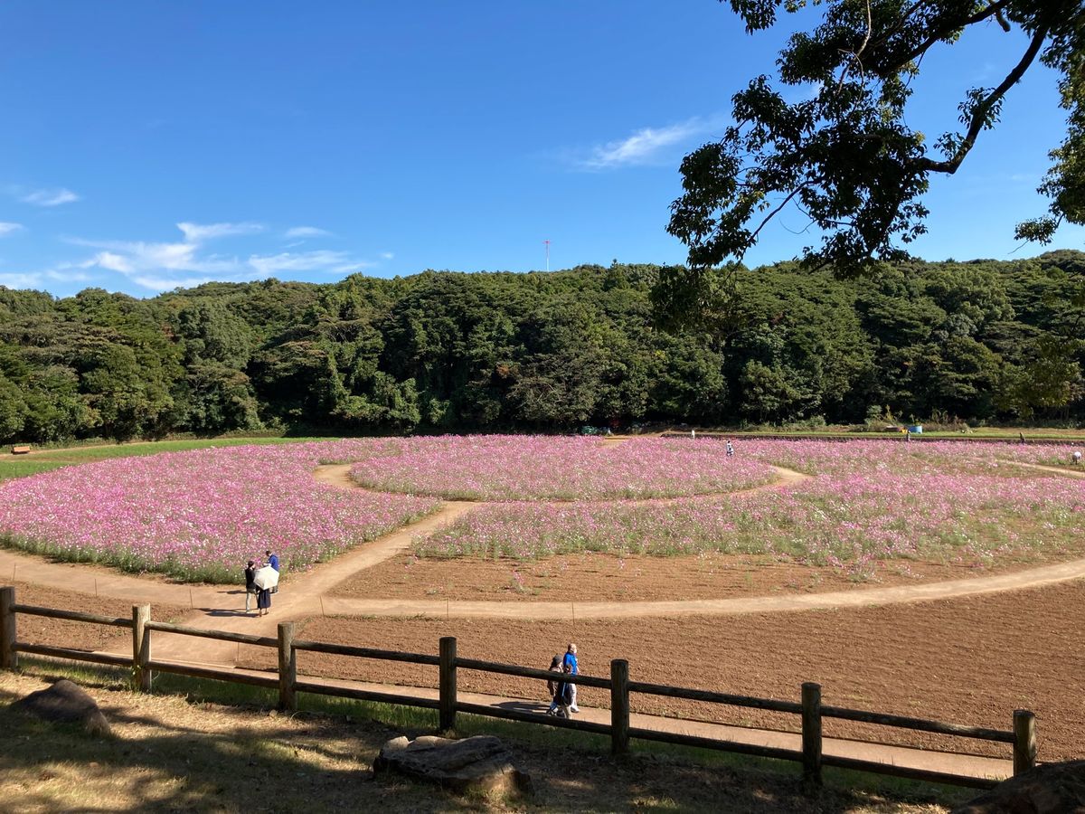 展海峰
天候にも恵まれ素敵な景色〜