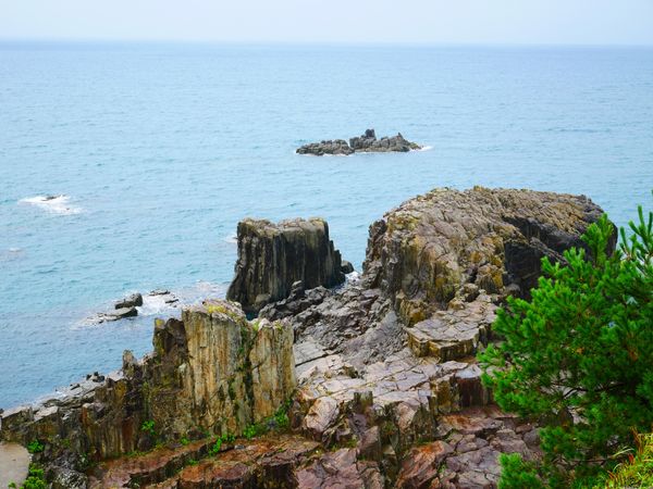 日本・福井県「福井 旅行」の写真