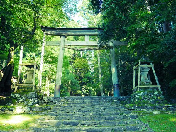 日本・福井県「福井 旅行」の写真