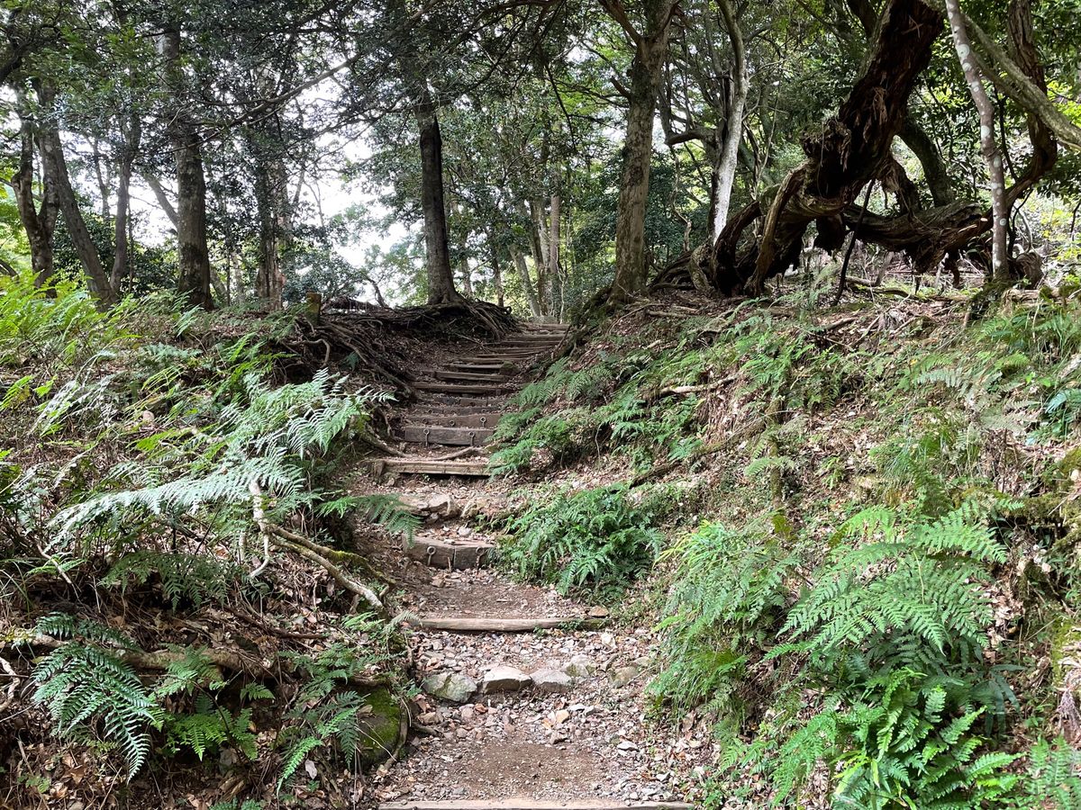 貴船神社から鞍馬寺まで山越えのコースを歩いてきました。ここはその昔源義経が...
