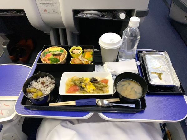 日本・東京都「マイル修行のため弾丸日帰り東京旅行」の写真：マイル修行僧なので少しでもプレミアムポイ...