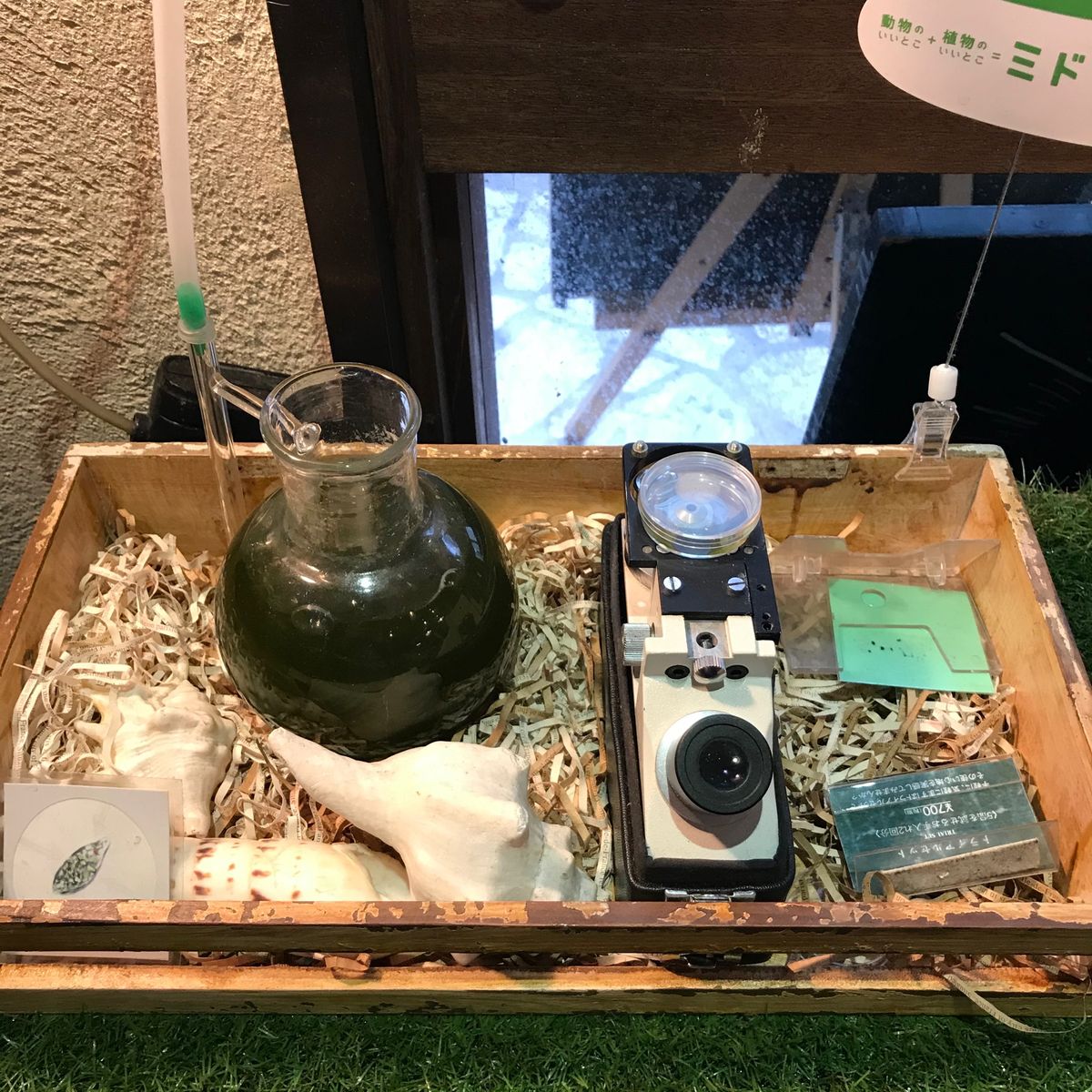 石垣港にいらっしゃる島のヒーロー具志堅用高さんの像。
お母様が神の島・久高...