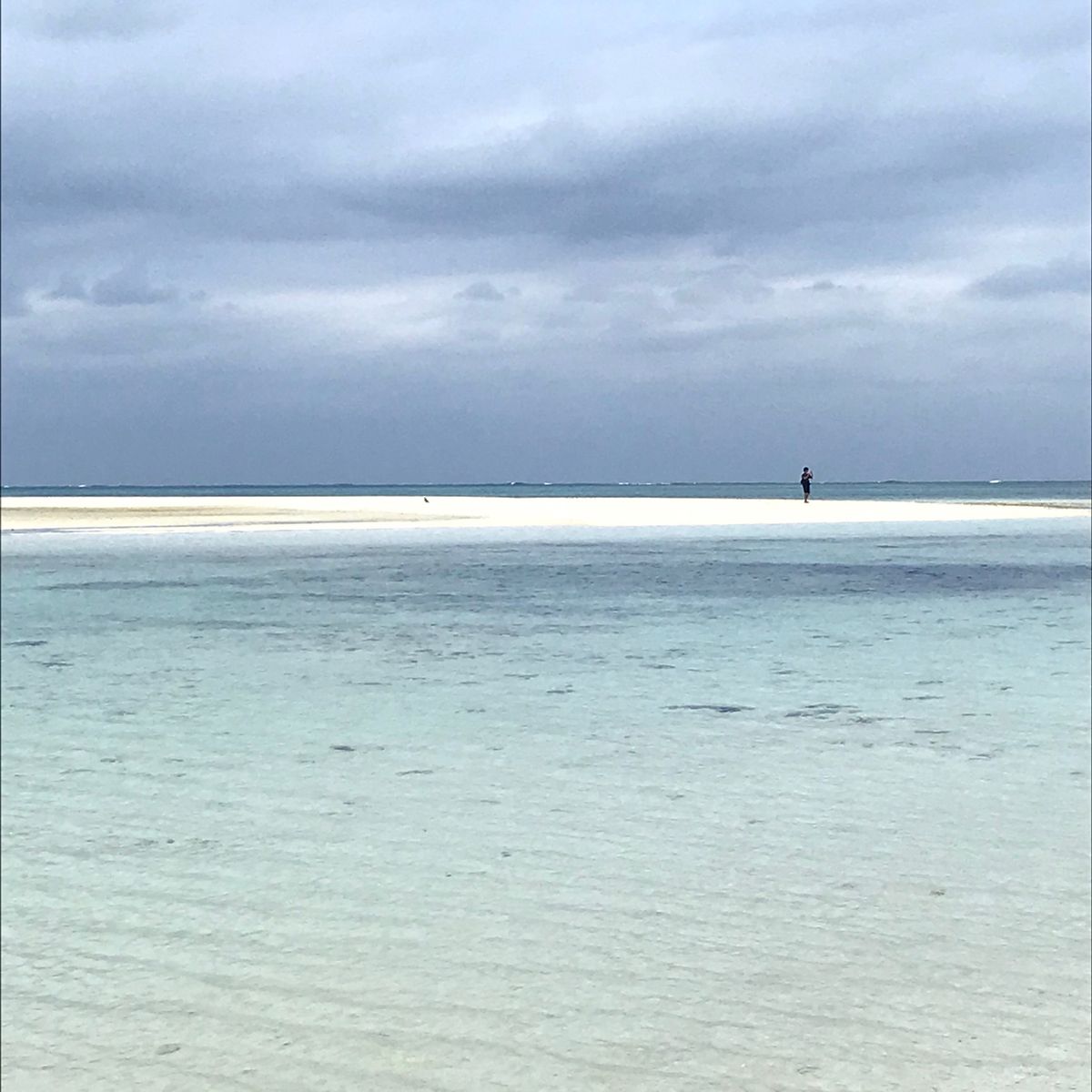 竹富島のコンドイビーチ🏖
すっごく綺麗で感動した。
曇りでもこうだから、晴...