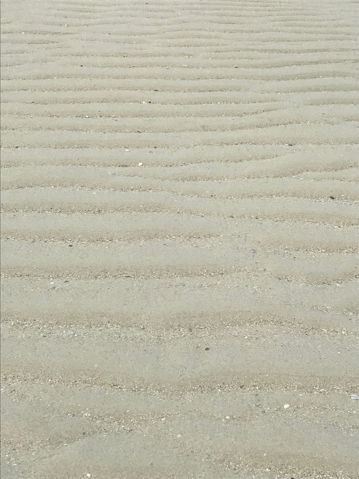竹富島のコンドイビーチ🏖
すっごく綺麗で感動した。
曇りでもこうだから、晴...