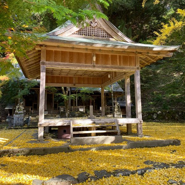 日本・京都府「ちょろっと京都　GO to トラベル」の写真：京都市
●岩戸落葉神社
●岩戸落葉神社の...