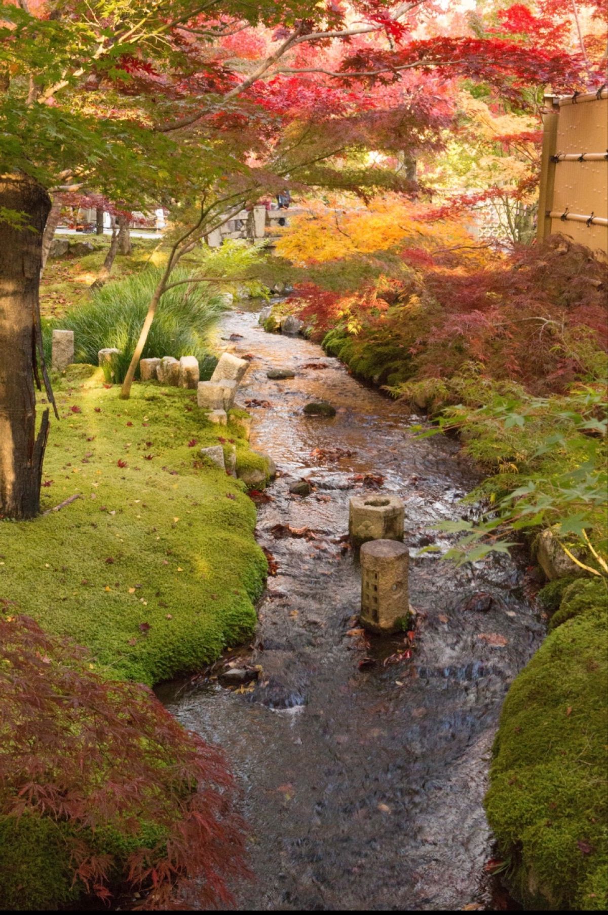京都市
●永観堂 禅林寺
●永観堂 禅林寺
●永観堂 禅林寺の小川
●永観...