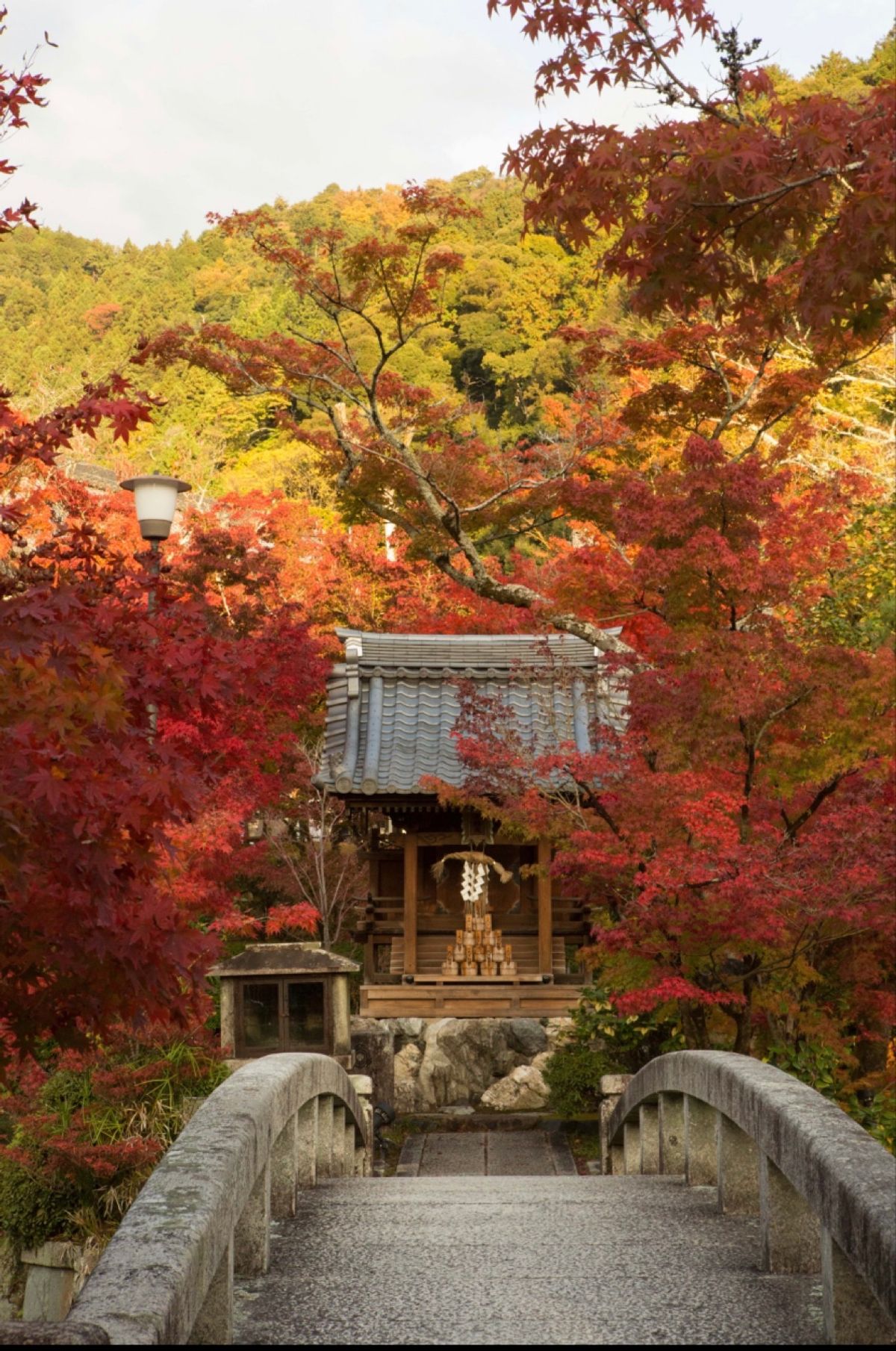 京都市
●永観堂 禅林寺
●永観堂 禅林寺
●永観堂 禅林寺の小川
●永観...