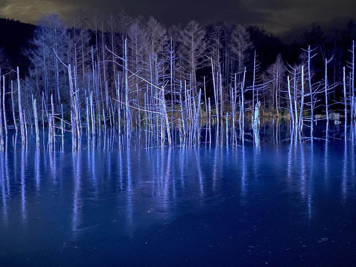 青い池

ライトアップはめっちゃ綺麗で
ライトがついた瞬間に歓声が上がった...