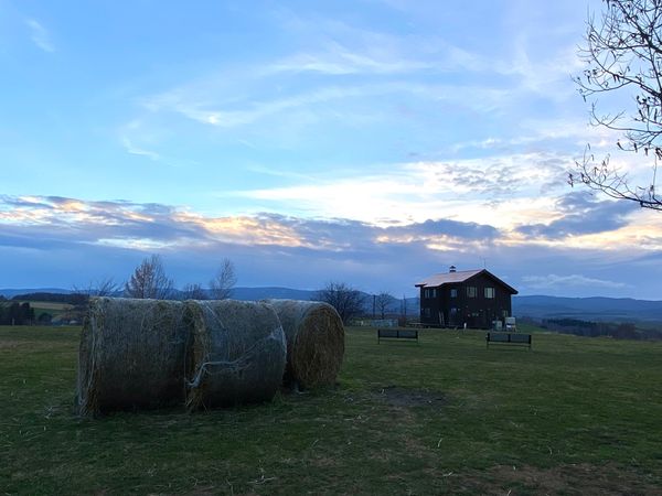 日本・北海道「念願の旭山動物園と青い池へ🤩」の写真：フェルム ラ・テール美瑛丨美瑛本店

全...