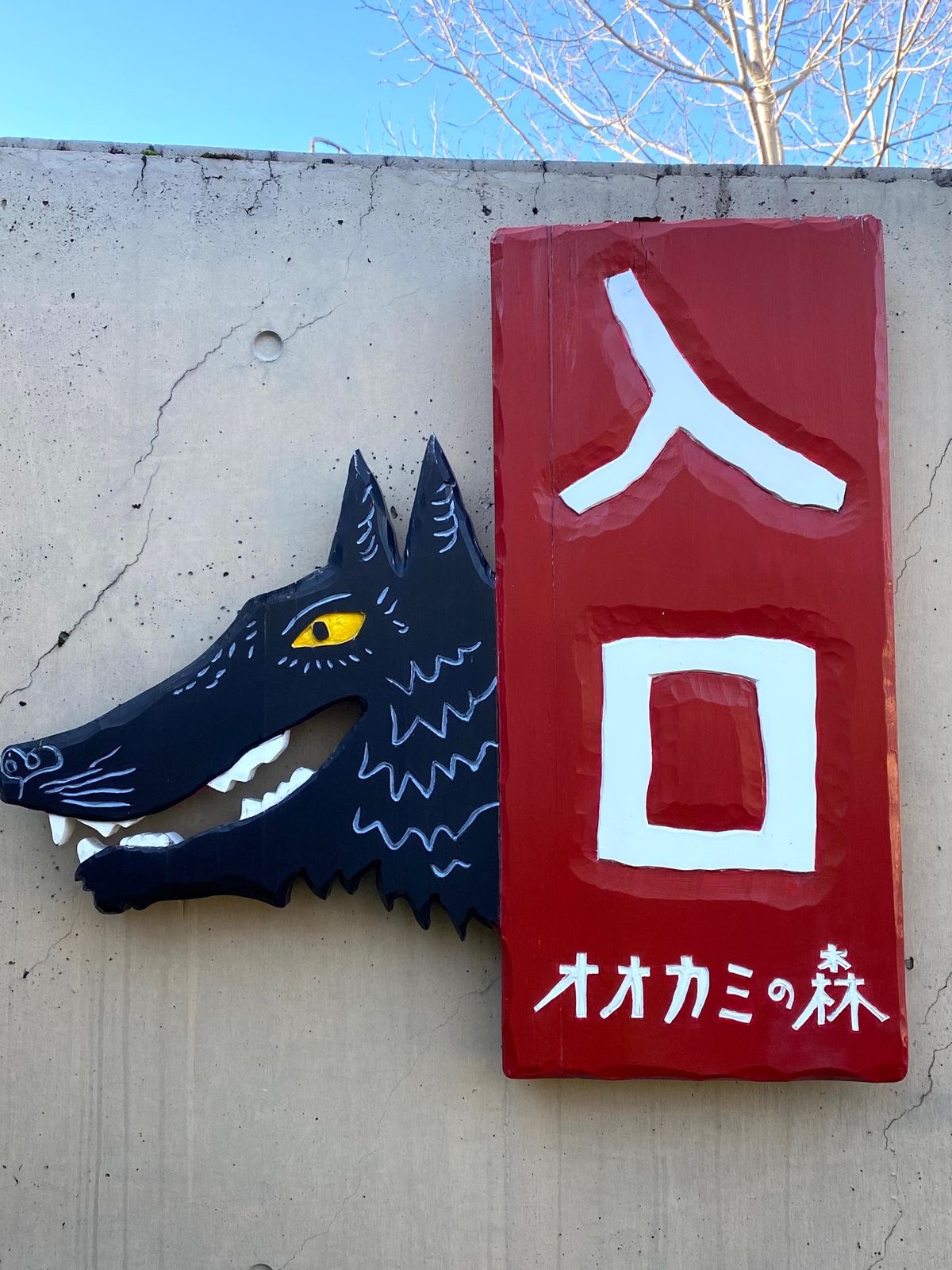 旭山動物園

最初オオカミが全然見つからなくて
やっと見つけた子も
スヤス...