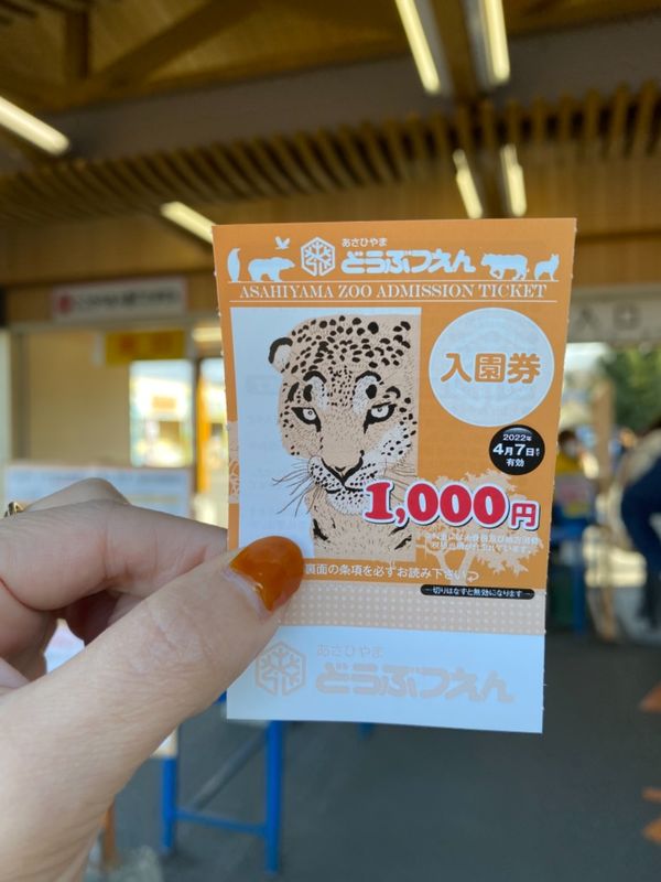日本・北海道「念願の旭山動物園と青い池へ🤩」の写真：旭山動物園

入場券も動物の絵柄が数パタ...