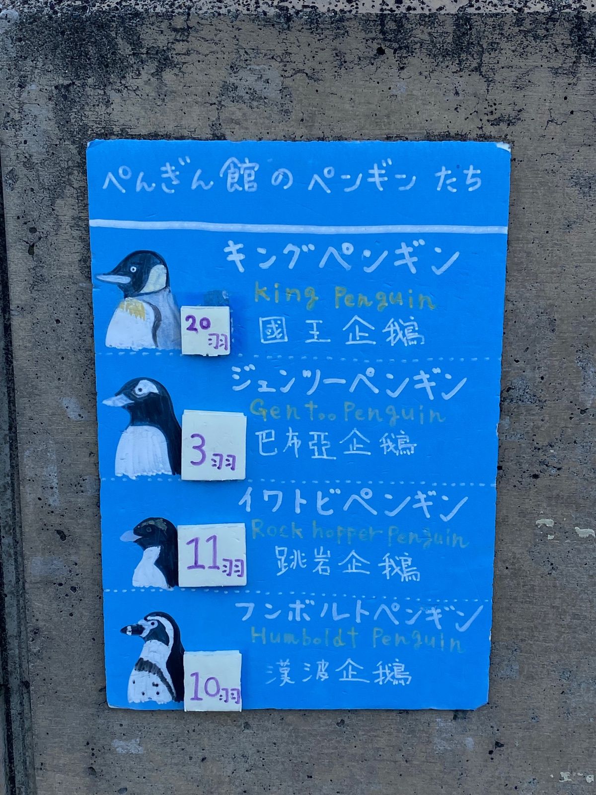 帰る前にもう一度最後に🐧ちゃん

動画撮ってたら
歩いてるときにツルっと滑...