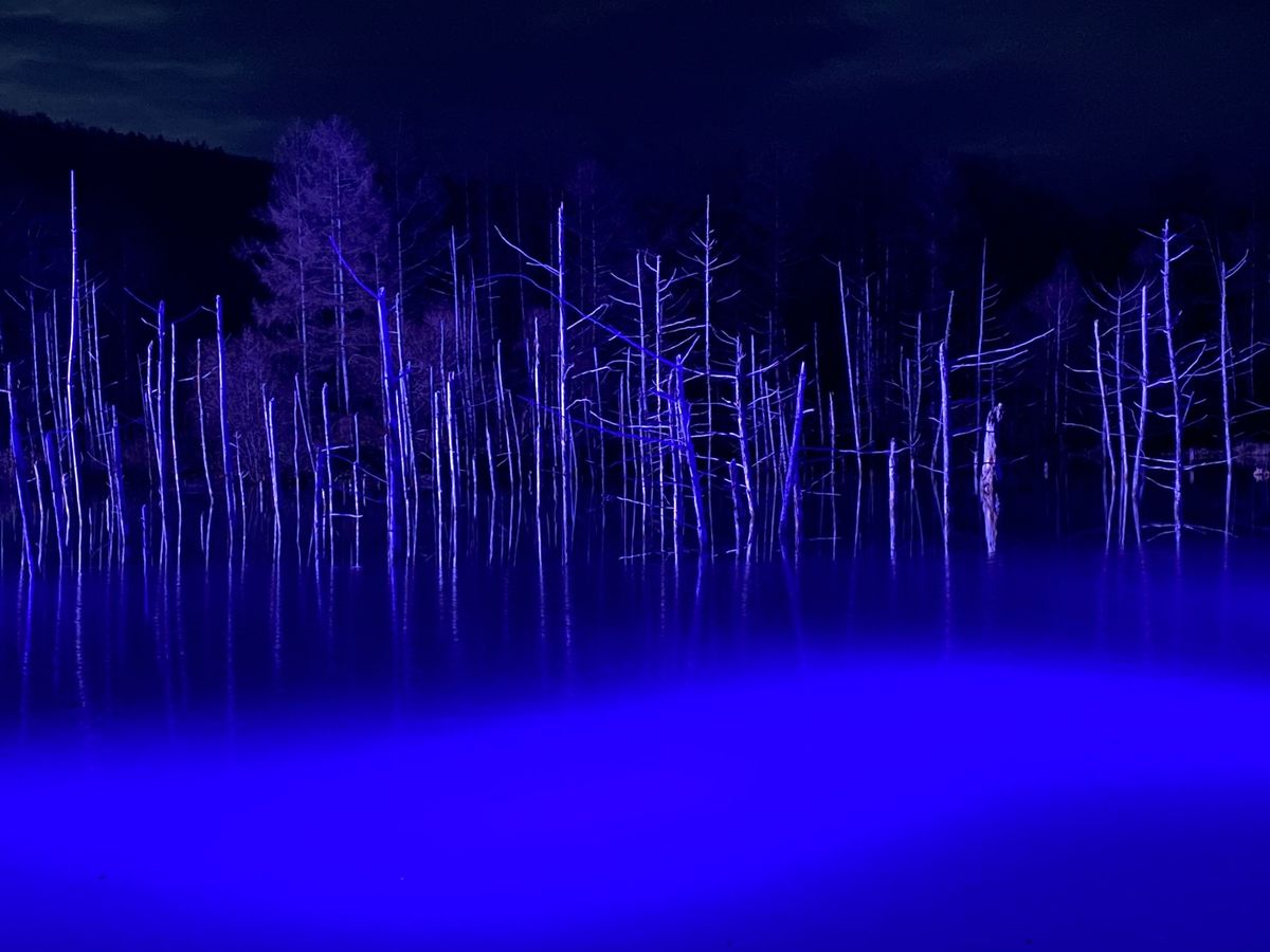 青い池

ライトアップには数パターンあるらしく
数分おきに照らされ方が変わ...