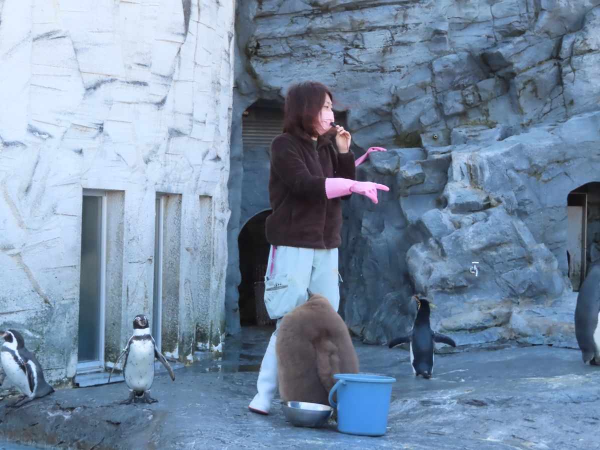 旭山動物園

入場券も動物の絵柄が数パターンあって可愛い〜😍


まずはペ...