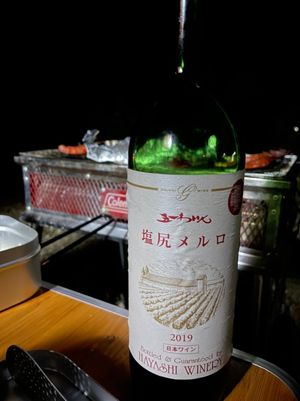 日本一星空が綺麗な村⭐︎として認定された阿智村で星空キャンプ🏕
その名の通...