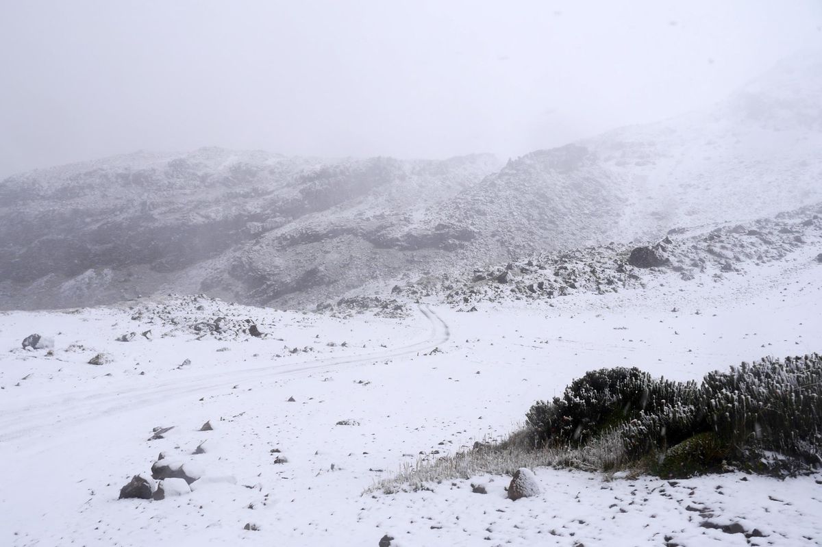エクアドルのカヤンベ山。
標高4500mを超えたあたりから雪景色になりまし...