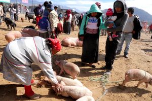 キトから北へ3時間ほど行ったオタバロという町。
土曜日の朝は動物市で賑わっ...