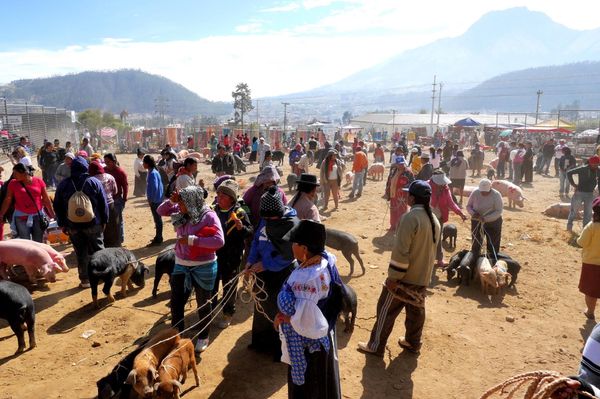 エクアドル・Quito「エクアドル在住」の写真：キトから北へ3時間ほど行ったオタバロとい...