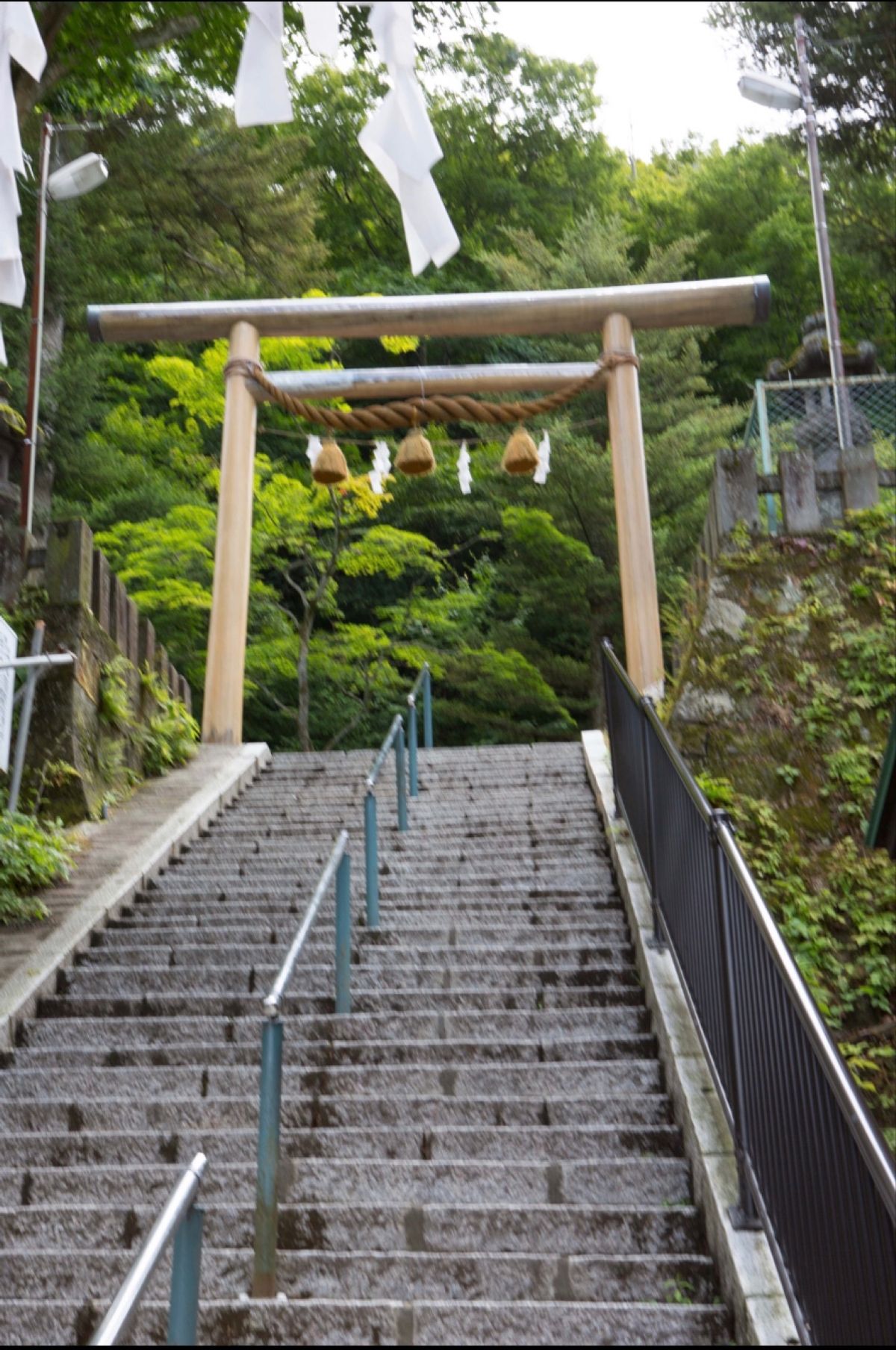 群馬県渋川市
●ハラミュージアムパーク
●伊香保神社の鳥居
●伊香保神社
...