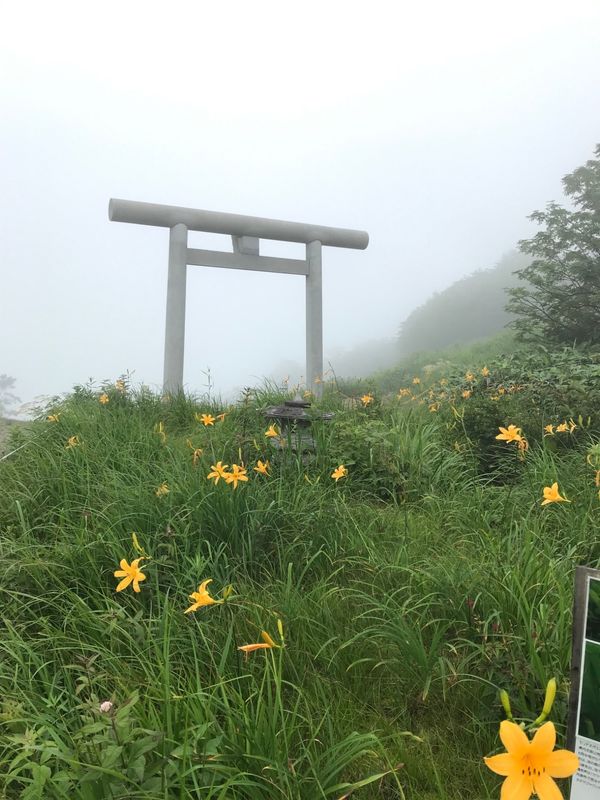 日本・群馬県「谷川岳と天一美術館をめぐる旅」の写真：群馬県みなかみ町
●谷川岳のロープウェイ...