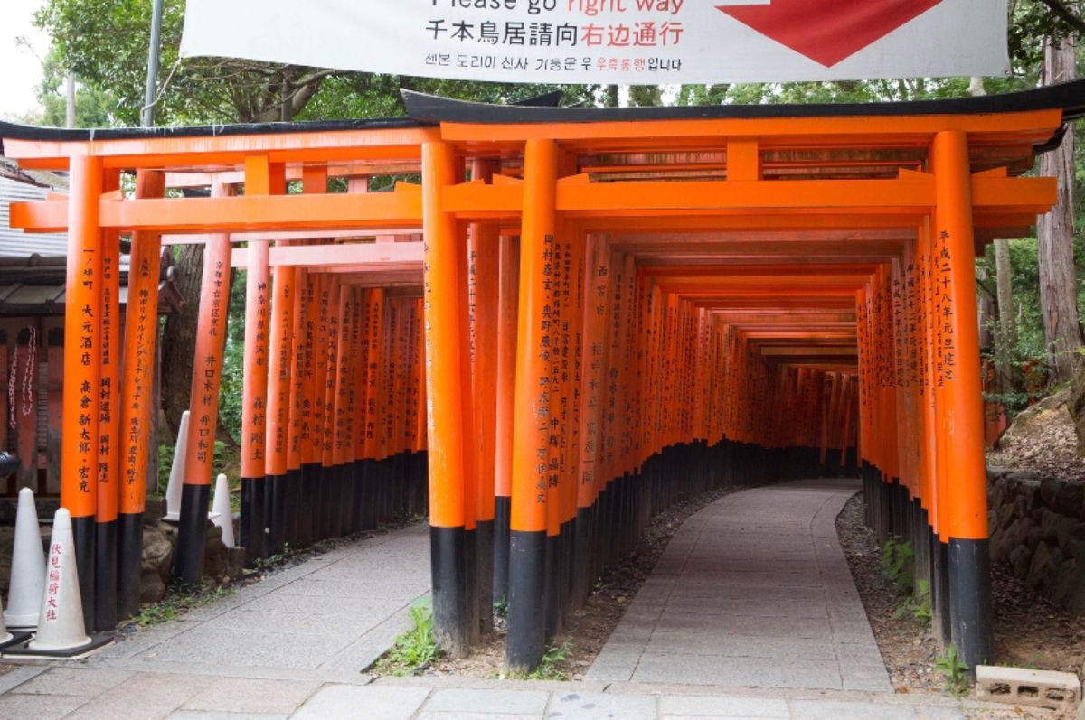京都市
伏見稲荷大社
●千本鳥居
●楼門
●外拝殿
●千本鳥居

はじめて...