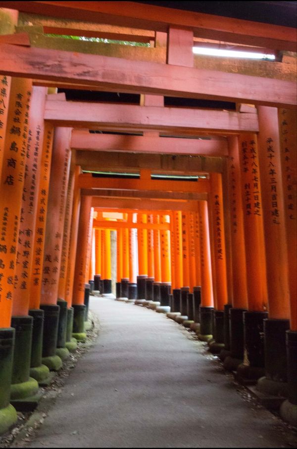 日本・京都府「ちょろっと京都　　GO to トラベル」の写真：京都市
伏見稲荷大社
●千本鳥居
●楼門...