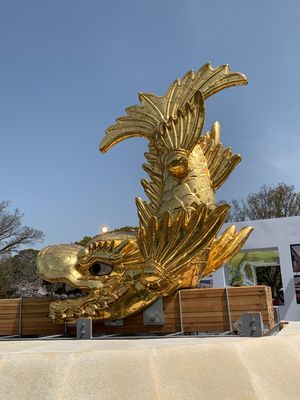 鯱鉾が、地上に😊