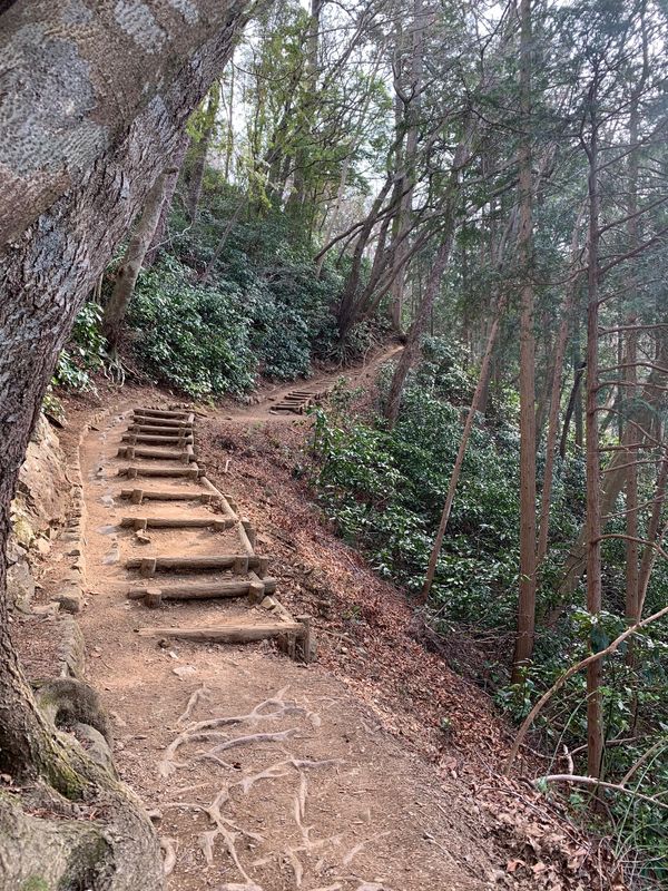 日本・東京都「高尾山」の写真：山歩き楽しすぎる！吊り橋も見つけたし🎶