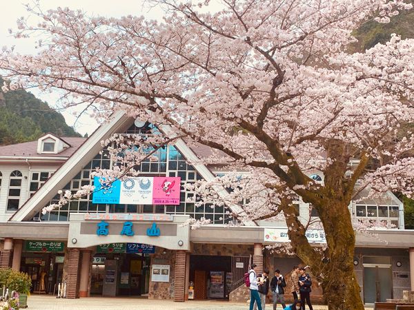 日本・東京都「高尾山」の写真