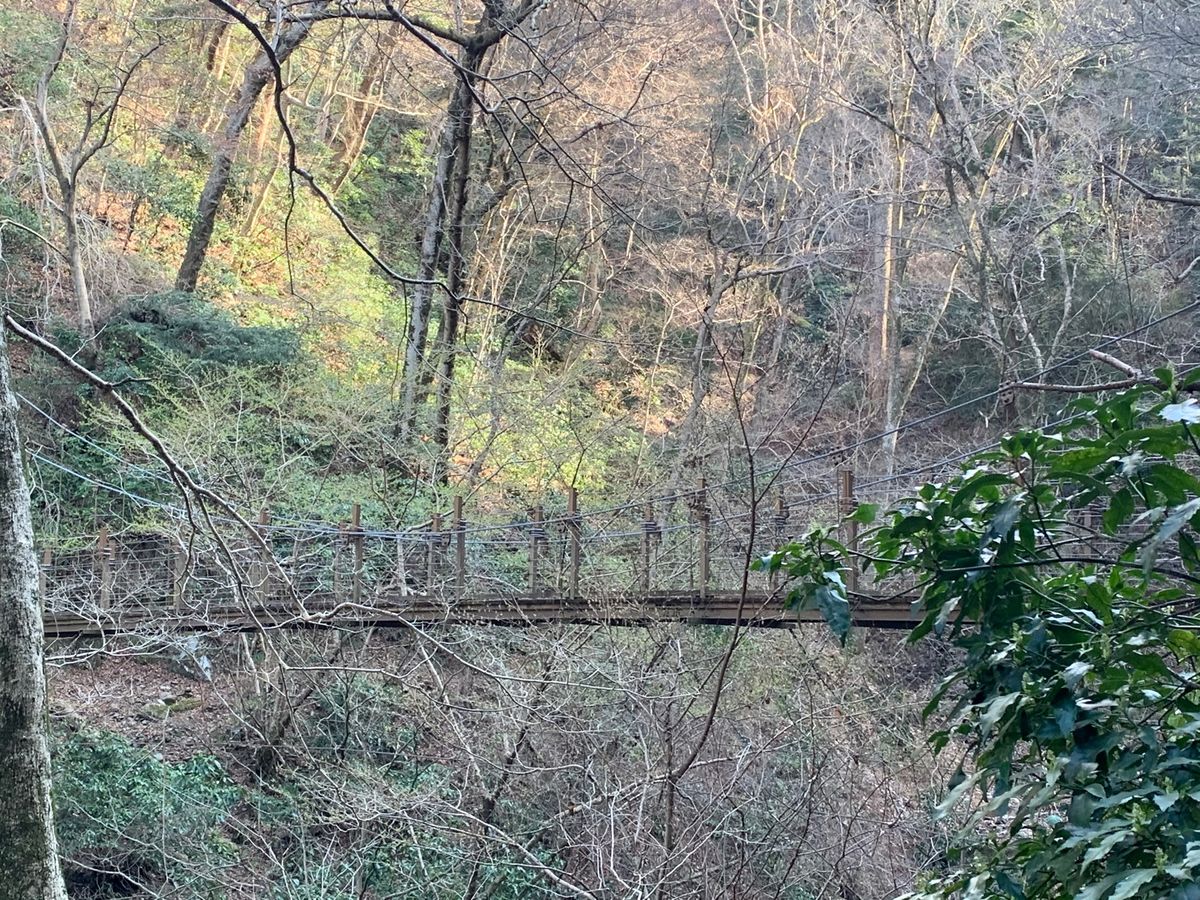 山歩き楽しすぎる！吊り橋も見つけたし🎶