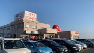 生ガキ大きすぎて幸せ😭また食べたい。。。