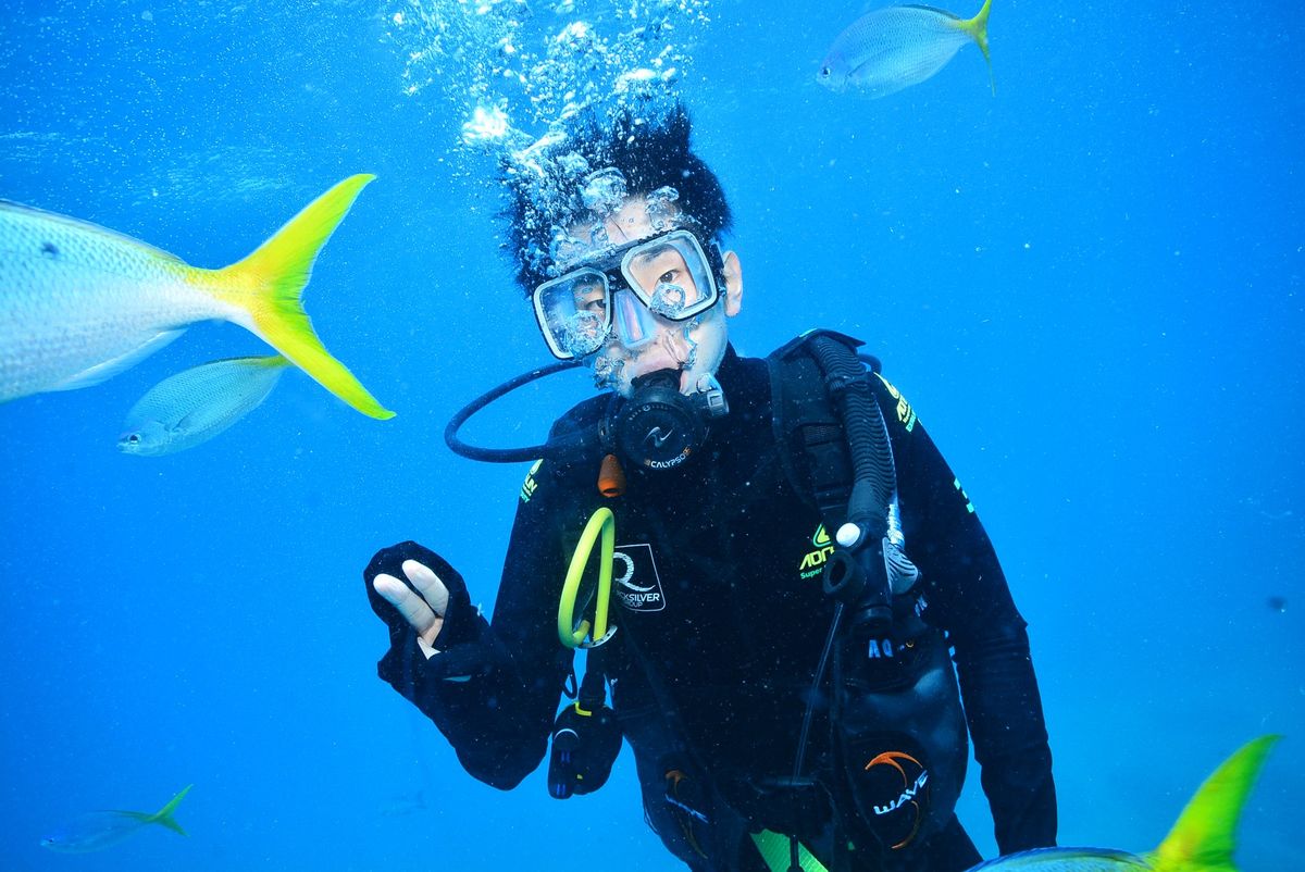 ウルル、カンガルーを見た後、カンガルー肉を食べた。牛肉と味、風味が変わらな...