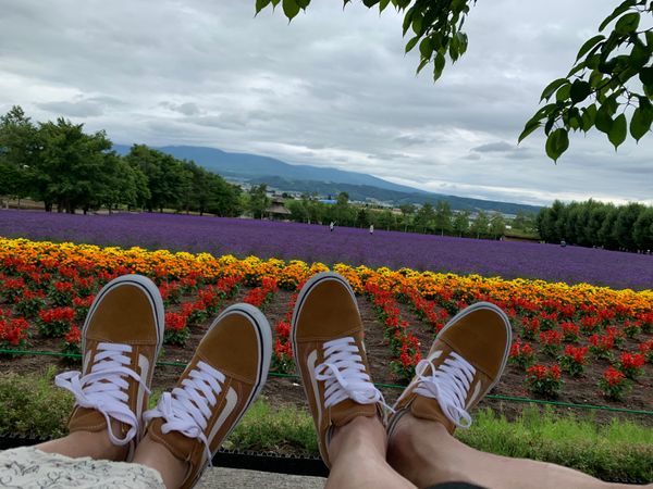 日本・富良野「美瑛・富良野旅行」の写真