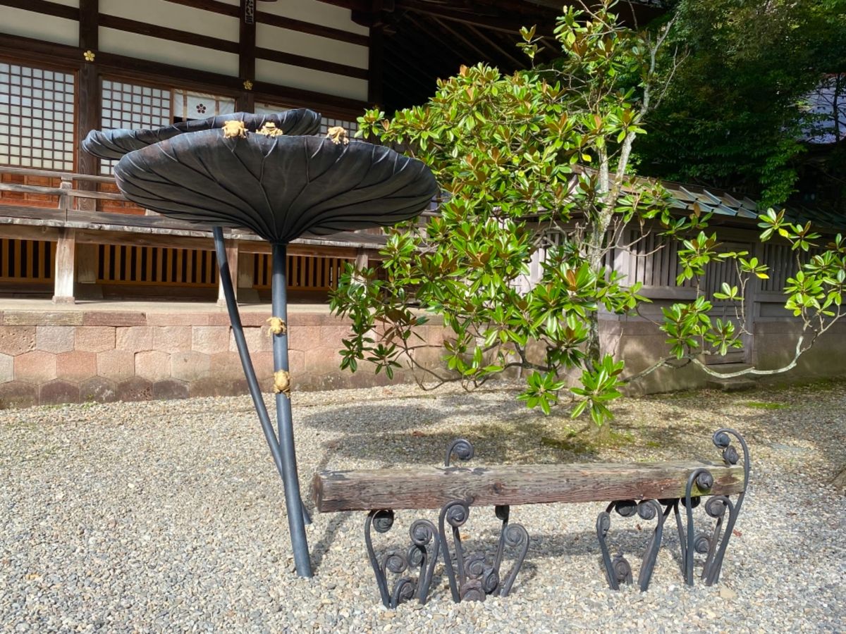 尾山神社

🐸ちゃん可愛い💕