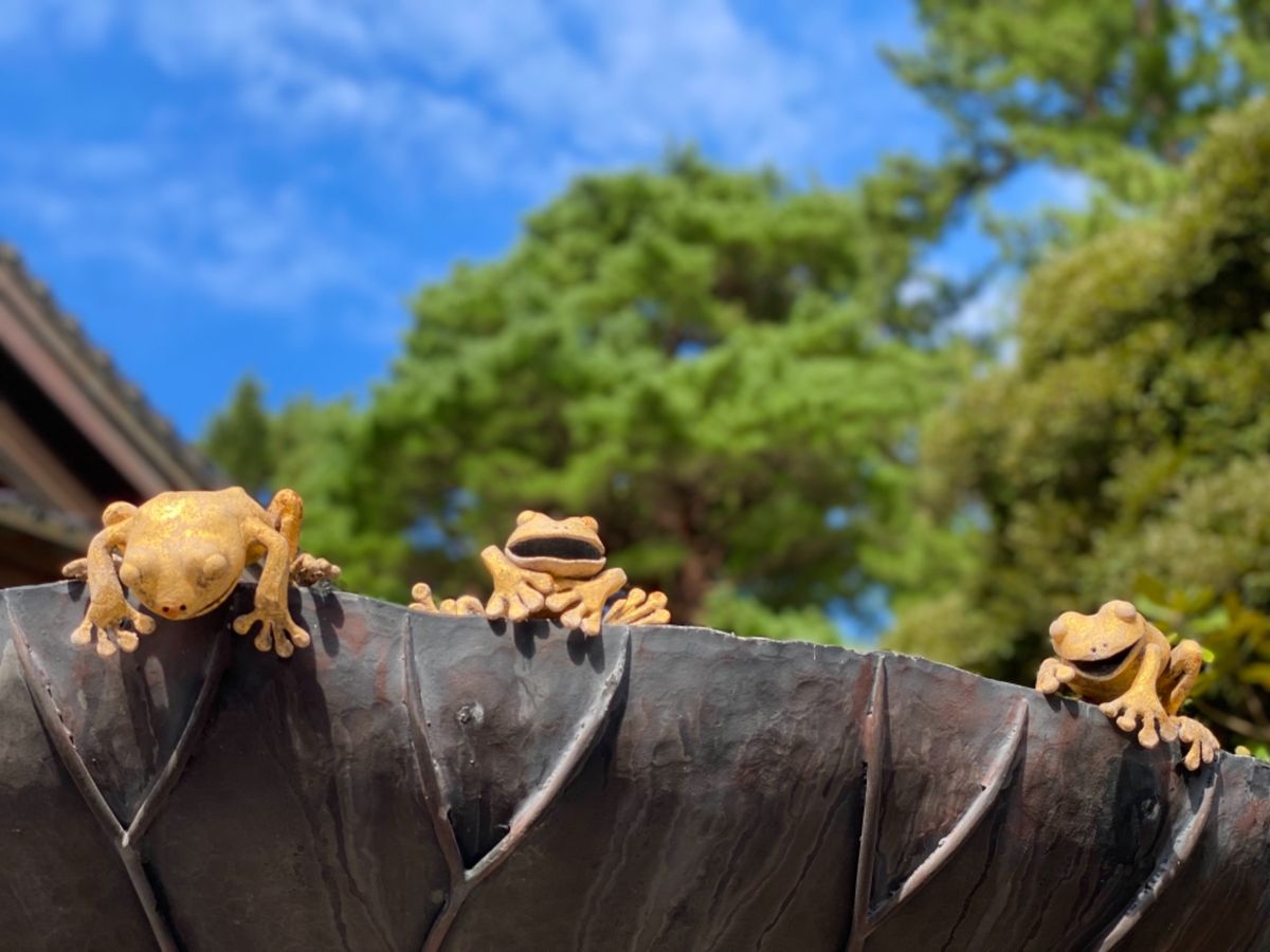 尾山神社

🐸ちゃん可愛い💕